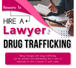 Hire a Lawyer for Drug Trafficking - Infograph