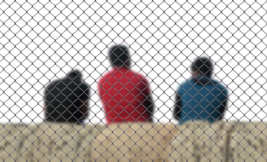 Foreign criminals